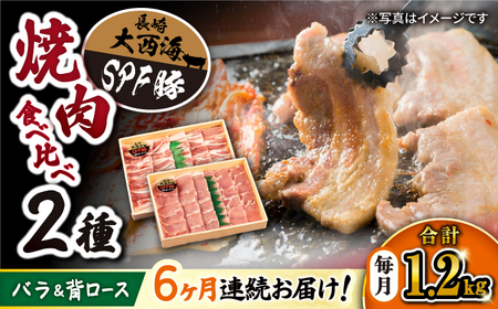 【6回 定期便 】 焼肉 豚 大西海 SPF豚 背ロース ＆ バラ （ 焼肉 用）計1.2kg（各600g） 焼肉 肉 食品 肉類 国産 豚肉 食べ比べ こだわり セット 甘み 旨み 豚バラ バラ肉 豚ロース 贈答 ギフト SPF豚 訳あり ＜大西海ファーム＞ [CEK045]