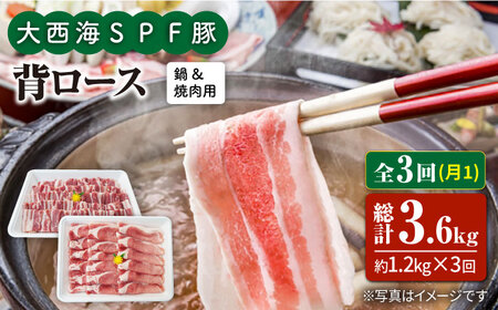 【6回定期便】大西海SPF豚 背ロース（焼肉＆しゃぶしゃぶ用）計1.2kg 訳あり ＜大西海ファーム＞ [CEK098]