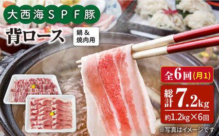 【6回定期便】大西海SPF豚 背ロース（焼肉＆しゃぶしゃぶ用）計1.2kg 訳あり ＜大西海ファーム＞ [CEK099]