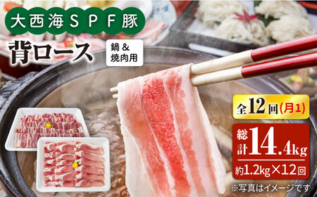 【6回定期便】大西海SPF豚 背ロース（焼肉＆しゃぶしゃぶ用）計1.2kg 訳あり ＜大西海ファーム＞ [CEK129]