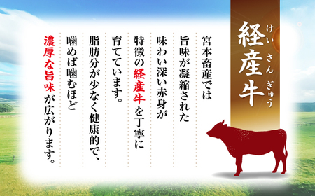 黒毛和牛 牛肉切り落とし 2kg 牛肉切り落とし CFA002