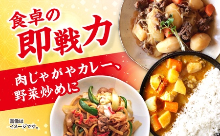 【3回定期便】長崎県産 豚 切り落とし 1kg CFA011 国産豚 こま切れ 便利 小分け