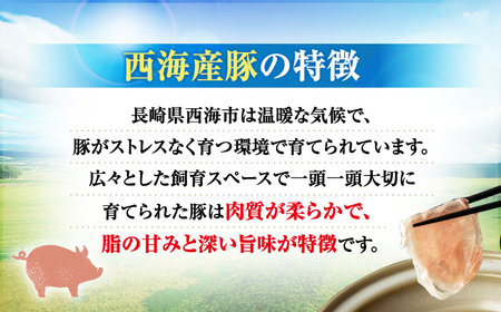 【3回定期便】長崎県産 豚 切り落とし 1kg CFA011 国産豚 こま切れ 便利 小分け