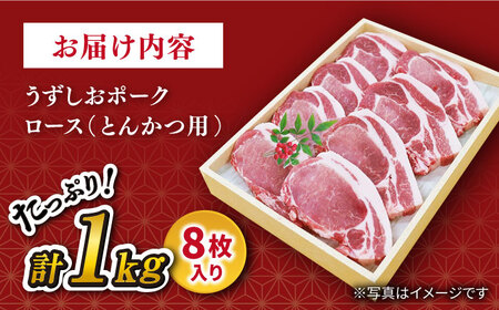 長崎うずしおポーク ロース 1kg 訳あり CAG001 ロース