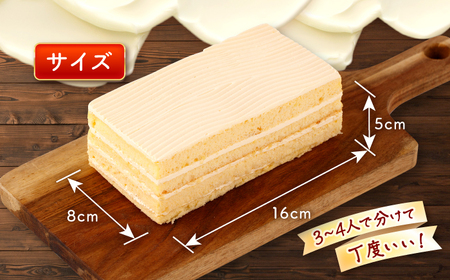 【日時指定可】バター ケーキ 2個  CAM052  ケーキ