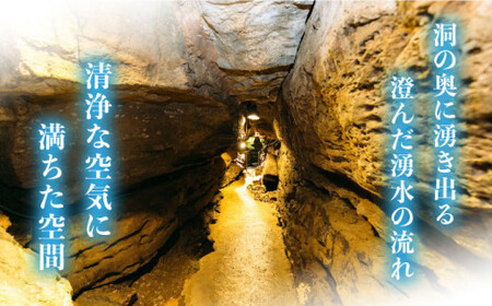 ラムネ 七ツ釜鍾乳洞 名水 200ml×24本 CAI011 ラムネ