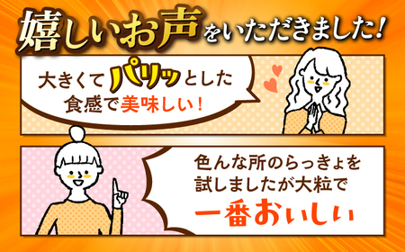 らっきょ 艶づけ（甘酢漬け）1.2kg  [CAI019] らっきょ