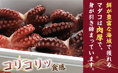 天然 タコ ゑべす蛸 計520g（130g×4P） 天然 たこ タコ たこ 海鮮 小分けパック 冷凍タコ 下処理済み ボイルタコ ＜大瀬戸町漁協＞ [CAR003]