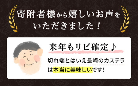 【訳あり】【3回定期便】 長崎カステラ お菓子 ケーキ 洋菓子 和菓子 ＜伊達本舗＞ [CAX009]