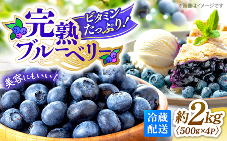 【2026年6月中旬より発送】完熟 ブルーベリー 計2kg  [CBN009] ブルーベリー 新鮮 産地直送