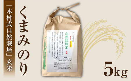 【令和6年産 新米】【木村式自然栽培】 玄米 くまみのり 約 15kg ＜ハマソウファーム＞ [CBR018]