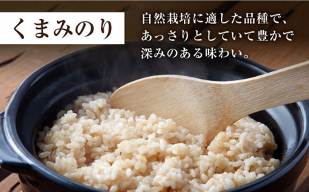 【令和6年産 新米】【木村式自然栽培】 玄米 くまみのり 約 15kg ＜ハマソウファーム＞ [CBR018]