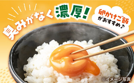 たまご Lサイズ40個 CCD001 たまご 卵