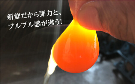 しあわせたまご 40個＜松本養鶏場＞ CCD021 たまご