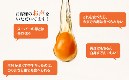 しあわせたまご 40個＜松本養鶏場＞ CCD021 たまご