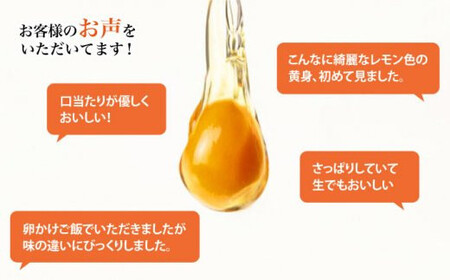 【6回定期便】 平飼い しあわせ たまご 20個＜松本養鶏場＞ [CCD028] 卵