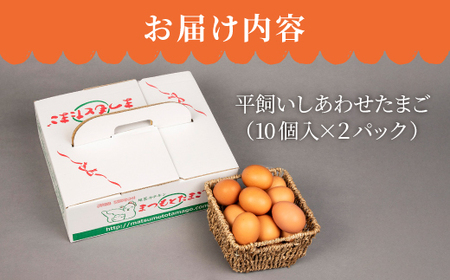 【6回定期便】 平飼い しあわせ たまご 20個＜松本養鶏場＞ [CCD028] 卵