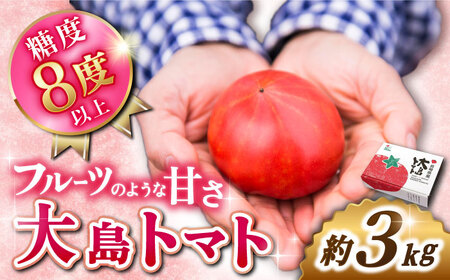 順次発送 大島 トマト 約3kg＜大島造船所農産G＞CCK005 トマト トマト トマト トマト トマト トマト