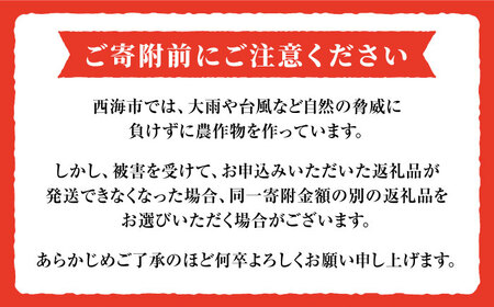 高糖度 トマト 【2025年収穫分先行予約】【 訳あり 】糖度８度以上！ 大島 トマト 約1.8kg＜大島造船所 農産グループ＞ [CCK007]  トマト ﾄﾏﾄ とまと フルーツトマト ﾄﾏﾄ こだわりトマト ﾄﾏﾄ おすすめトマト 大島トマト ﾄﾏﾄ おススメトマト ﾄﾏﾄ 人気トマト 定番トマト ﾄﾏﾄ 通販トマト トマト お取り寄せトマト 自宅用トマト 贈答トマト ﾄﾏﾄ トマト とまと 西海トマト ﾄﾏﾄ 大島トマト 甘いトマト 贈答 ギフト トマト ﾄﾏﾄ とまと フルーツトマト ﾄﾏﾄ こだわりトマト ﾄﾏﾄ おすすめトマト 大島トマト ﾄﾏﾄ おススメトマト ﾄﾏﾄ 人気トマト 定番トマト ﾄﾏﾄ 通販トマト トマト お取り寄せトマト 自宅用トマト 贈答トマト ﾄﾏﾄ トマト とまと 西海トマト ﾄﾏﾄ 大島トマト 甘いトマト 贈答 ギフト トマト トマト トマト