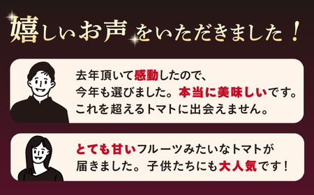 2026年収穫分 トマト ルビーのしずく 約1.2kg CCK016 トマト 野菜 新鮮 高糖度 贈答 ギフト