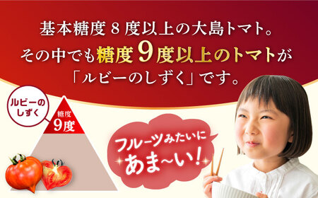 2026年収穫分 トマト ルビーのしずく 約1.2kg CCK016 トマト 野菜 新鮮 高糖度 贈答 ギフト