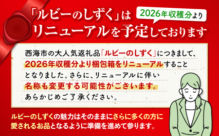 2026年3月発送開始 2回定期便 トマト ルビーのしずく 約1.2kg CCK030 トマト 野菜 新鮮 高糖度 贈答 ギフト