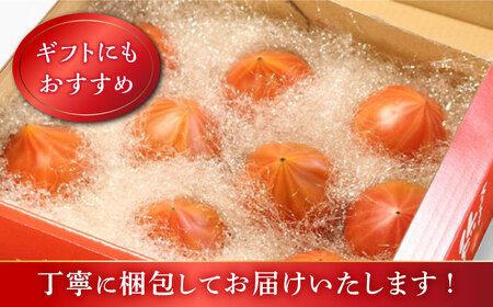 2026年3月発送開始 2回定期便 トマト ルビーのしずく 約1.2kg CCK030 トマト 野菜 新鮮 高糖度 贈答 ギフト
