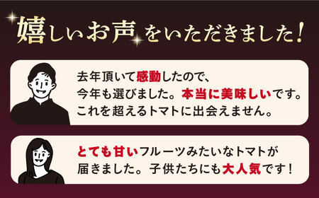 トマト 高糖度 【2025年収穫分先行予約】【2回 定期便 】【 訳あり 】糖度9度以上！ 大島 トマト 特選「 ルビーのしずく 」約1.2kg 西海市産 トマト とまと 訳あり トマト 大島トマト 甘いトマト ＜大島造船所 農産グループ＞ [CCK031]