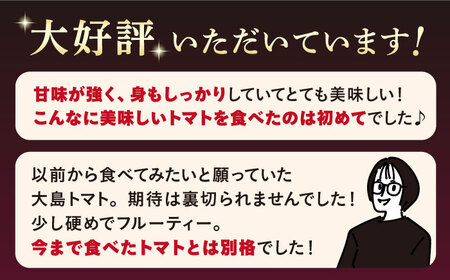 トマト 高糖度 【2025年収穫分先行予約】【2回 定期便 】【 訳あり 】糖度9度以上！ 大島 トマト 特選「 ルビーのしずく 」約1.2kg 西海市産 トマト とまと 訳あり トマト 大島トマト 甘いトマト ＜大島造船所 農産グループ＞ [CCK031]