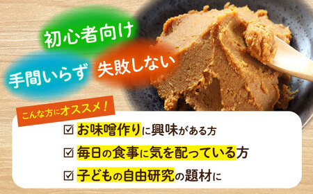 手作りキット 合わせ味噌 CDN010 味噌 自由研究 味噌