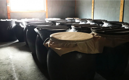 【3回定期便】酢らり 大瓶（いちご・ゆうこう）総計6本＜川添酢造＞ [CDN035] 果実酢