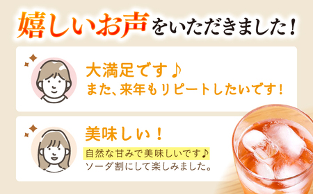 飲む 玄米酢 酢らり 大瓶2本セット（春いちご）＜川添酢造＞ [CDN060] 果実酢 酢