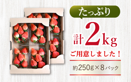 先行予約 訳あり いちご ゆめのか 2kg CDR005 いちご 規格外 不揃い