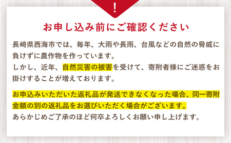 先行予約 訳あり いちご ゆめのか 2kg CDR005 いちご 規格外 不揃い