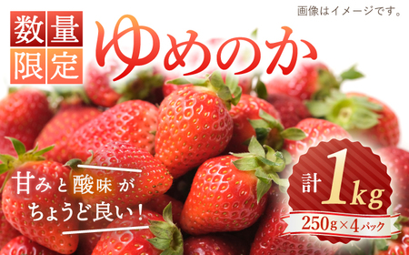 先行予約】【数量限定】ゆめのか 苺 約1kg（250g×4パック）＜川原農園