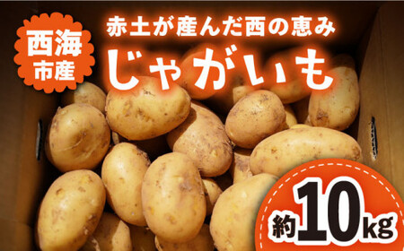 【先行予約】じゃがいも 10kg ＜ファームまるだ＞ CDT002 じゃがいも