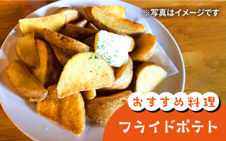 【先行予約】じゃがいも 10kg ＜ファームまるだ＞ CDT002 じゃがいも