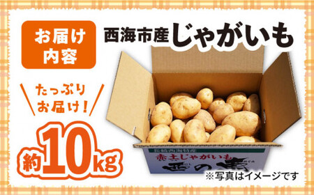 【先行予約】じゃがいも 10kg ＜ファームまるだ＞ CDT002 じゃがいも