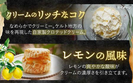 レモンカード入り スコーン 10個 [CEM001] スコーン