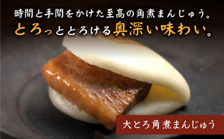 長崎大とろ角煮まんじゅう10個 [CFE007] 角煮まん