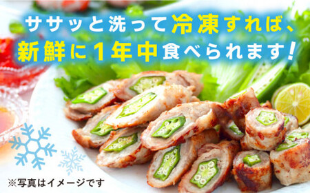 先行予約 オクラ 1kg ＜パッパラパー農園＞ [CFI001] 産地直送 オクラ 新鮮 野菜