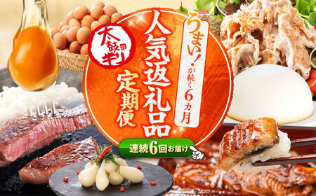 6回定期便 上位人気 西海の宝物定期便 | CZZ024 定期便