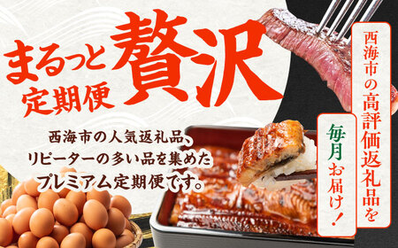 6回定期便 上位人気 西海の宝物定期便 | CZZ024 定期便