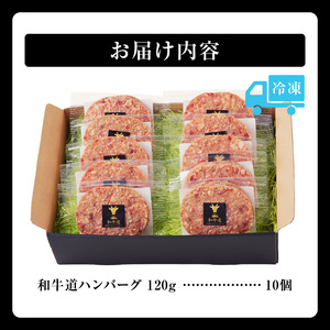 ブランド和牛 「 十勝姫 」の 和牛道 ハンバーグ 120g × 10食 セット 【 牛 牛肉 黒毛和牛 生ハンバーグ 個包装 小分け グラスフェッドビーフ 国産 簡単調理 惣菜 北海道産 冷凍 お取り寄せ 北海道 清水町   】_S017-0002