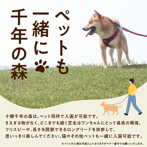 十勝千年の森 年間パス入場券 大人2名分【北海道 清水町 自然 十勝千年の森 十勝毎日新聞社 ガーデン 入場券 年間パス レジャー おでかけ】_S030-0004 十勝千年の森 年間パス入場券 大人2名分【北海道 清水町 自然 十勝千年の森 十勝毎日新聞社 ガーデン 入場券 年間パス レジャー おでかけ】_S030-0004