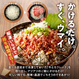 【3回定期便】毎月付属のタレが変わる！牛とろ丼セット140g 計21食分【 牛とろ丼 セット 日勝峠の味セット 山わさび醤油漬け お肉 でつくった （ ひしお ） 牛とろフレーク 7人前 140g 専用タレ付き ぎゅうとろ 牛肉 牛トロ フレーク 7食分 選べる ご飯にかけるだけ 牛トロ ギュウトロ ふりかけ 肉丼 ご飯のお供 人気 牛とろ 北海道 清水町 グルメ 牛フレーク 詰め合わせ お肉 牛 国産 北海道産】_S006-0055