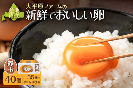 卵 40個 こだわり赤卵 新鮮たまごの大平原ファーム 北海道清水町 _S035-0014