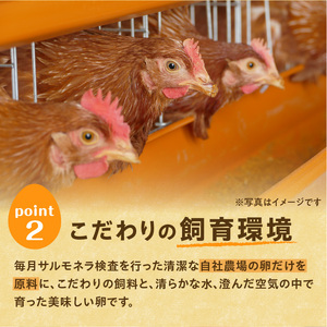 卵 40個 こだわり赤卵 新鮮たまごの大平原ファーム 北海道清水町 _S035-0014