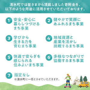 【返礼品なし】北海道清水町への寄附 応援 支援 寄付のみ 返礼品なし (1口：5,000円)【 寄附 おうえん 応援 しえん 支援 応援したい おうえん寄付金 応援寄付金 寄付のみ 返礼品なし 返礼品なしの寄附 】_S038-0002