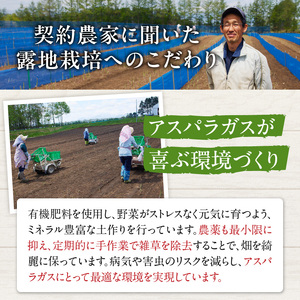 《令和8年産》産地直送アスパラ L・2L混合 2kg アスパラガス _S021-0011